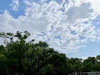 大阪城の写真・動画_image_1374343