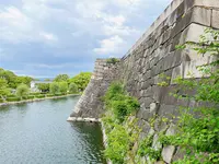 大阪城の写真・動画_image_1374364