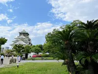 大阪城の写真・動画_image_1374419
