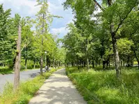 大阪城公園の写真・動画_image_1374444