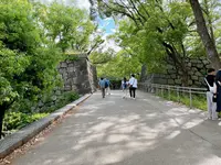大阪城公園の写真・動画_image_1374448
