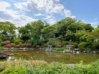 大阪城公園の写真・動画_image_1374459