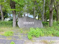 大阪城公園の写真・動画_image_1374473