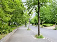 大阪城公園の写真・動画_image_1374481