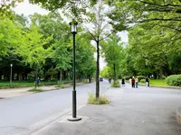 大阪城公園の写真・動画_image_1374482