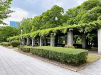 大阪城公園の写真・動画_image_1374483