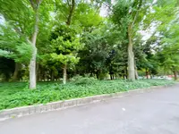 大阪城公園の写真・動画_image_1374485