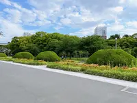 大阪城公園の写真・動画_image_1374490