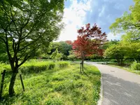 大阪城公園の写真・動画_image_1374495