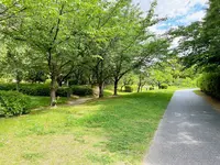藤田邸跡公園（旧藤田邸庭園）の写真・動画_image_1374610