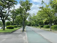 毛馬桜之宮公園の写真・動画_image_1374639