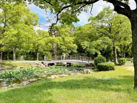 毛馬桜之宮公園の写真・動画_image_1374651