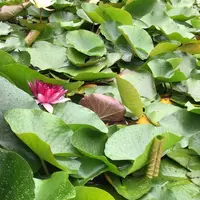 みなと公園の写真・動画_image_1376910