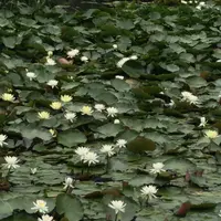 みなと公園の写真・動画_image_1376912