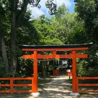 半木神社の写真・動画_image_1382448
