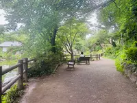 鍋島松濤公園の写真・動画_image_1387167