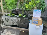 江島神社 辺津宮の写真・動画_image_1411212