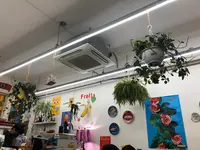 Frolla Seoul（프롤라）の写真・動画_image_1412456