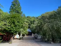 伊豆山神社の写真・動画_image_1415672