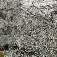 箱根ガラスの森美術館の写真・動画_image_1503371