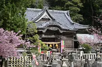 白浜神社の写真・動画_image_1537414