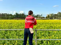 菜の花畑（福ふくの里）の写真・動画_image_1560243