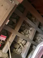 犬山城の写真・動画_image_1569902