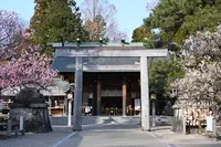 射水神社の写真・動画_image_1570730
