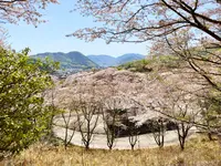 備前焼ギャラリー山麓窯の写真・動画_image_1577569