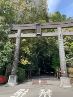 高千穂神社の写真・動画_image_1579580