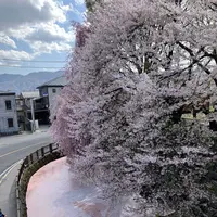 高島城の写真・動画_image_1580850