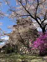 高島城の写真・動画_image_1580851