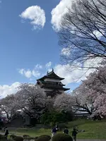 高島城の写真・動画_image_1580856
