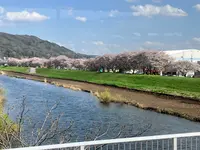 高島城の写真・動画_image_1580857