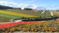 上富良野 上富良野フラワーランドの写真・動画_image_1583236