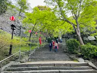 唐津城の写真・動画_image_1591843