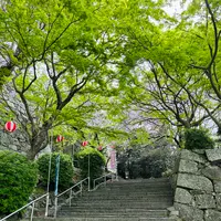 唐津城の写真・動画_image_1591844