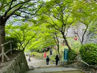 唐津城の写真・動画_image_1591845