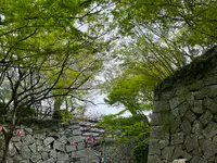 唐津城の写真・動画_image_1591846