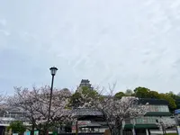唐津城の写真・動画_image_1591849