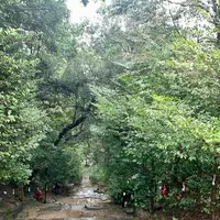 東霧島神社の写真・動画_image_1606311