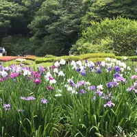二の丸庭園の写真・動画_image_1610637