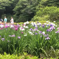 二の丸庭園の写真・動画_image_1610638