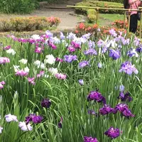 二の丸庭園の写真・動画_image_1610639