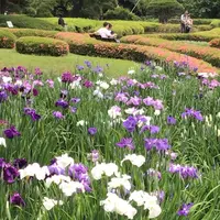 二の丸庭園の写真・動画_image_1610640