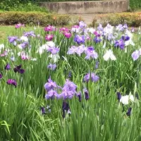二の丸庭園の写真・動画_image_1610641