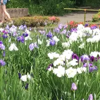 二の丸庭園の写真・動画_image_1610642