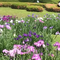二の丸庭園の写真・動画_image_1610643