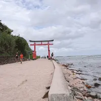青島神社の写真・動画_image_1619620
