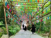 如意輪寺 （かえる寺）の写真・動画_image_1619653
